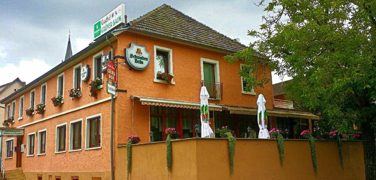 Hotel Grüner Baum Neckargerach Exterior foto